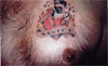 38p.gif (6767 octets)